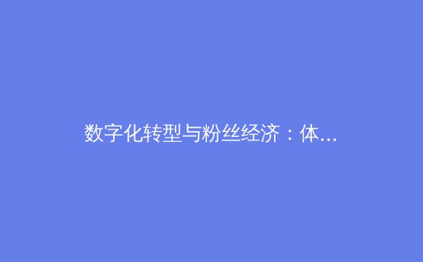 数字化转型与粉丝经济：体育产业如何借力MBA智慧破局新周期